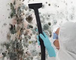 Best Commercial Mold Inspection  in Maria Stein, OH